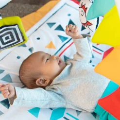 Hello Baby Play Gym