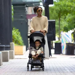 Hummingbird Carbon Fiber Lightweight Stroller