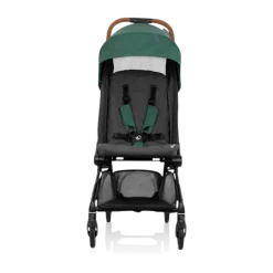 Hummingbird Carbon Fiber Lightweight Stroller