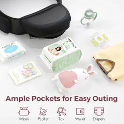 2-in-1 Baby Carrier