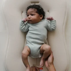 Infant Lounger Curve