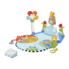 3 in 1 Kick & Sway Activity Gym