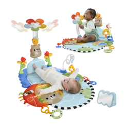 3 in 1 Kick & Sway Activity Gym