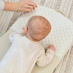 3-in-1 Learn & Lounge Newborn Lounger