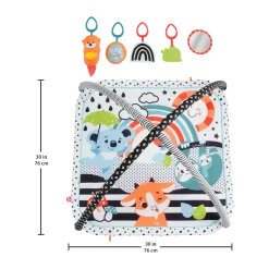 3-in-1 Music, Glow and Grow Gym