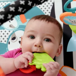 3-in-1 Music, Glow and Grow Gym