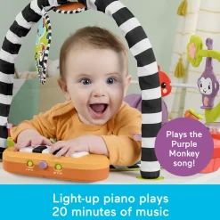 2 in 1 Purple Monkey Musical Activity Center