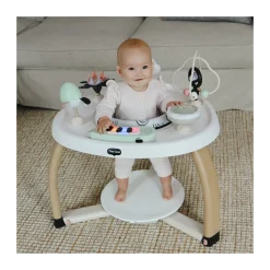 5-in-1 Stationary Activity Center