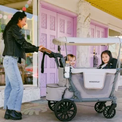 L2 Double Stroller Wagon