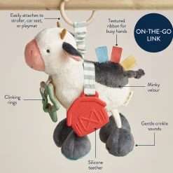 Link & Love Activity Toy