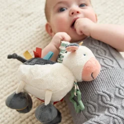 Link & Love Activity Toy