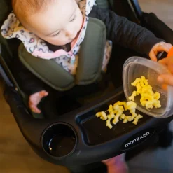 Lithe V2 Stroller