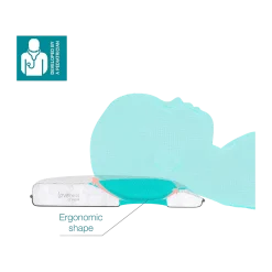 Lovenest + Infant Headrest