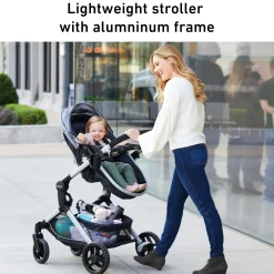 Modes Nest DLX Travel System