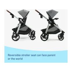 Modes Nest2Grow Stroller & SnugRide SnugFit Infant Car Seat