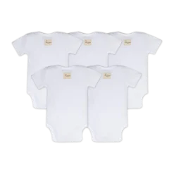 Organic Short Sleeve Bodysuit (5 Pack)