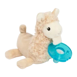 Pacifier