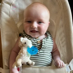 Pacifier