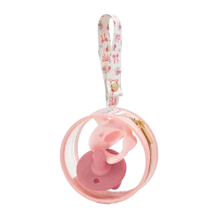 Pacifier Case