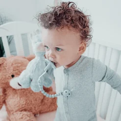 Pacifier Clips 100% Food Grade Silicone (2 Pack)