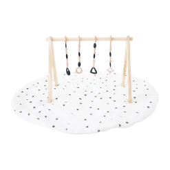 Play Gym Set