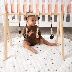 Play Gym Set