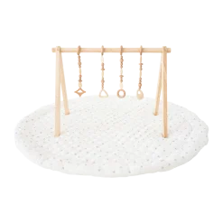 Play Gym Set