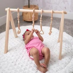 Play Gym Set