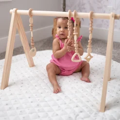 Play Gym Set