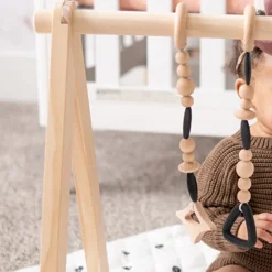 Play Gym Set