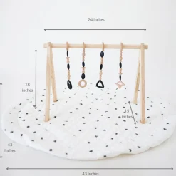 Play Gym Set