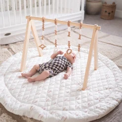 Play Gym Set