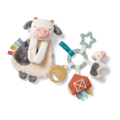Plush Lovey & Teething Activity Toy Gift Set