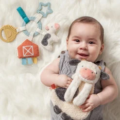 Plush Lovey & Teething Activity Toy Gift Set
