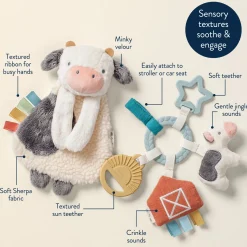 Plush Lovey & Teething Activity Toy Gift Set