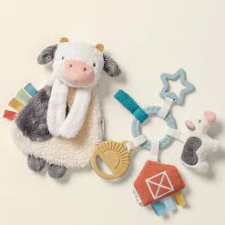 Plush Lovey & Teething Activity Toy Gift Set