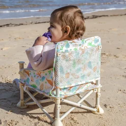 Portable Booster Chair
