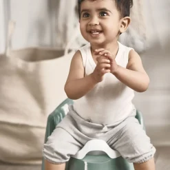 Potty Chair
