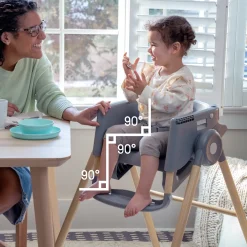 Proper Positioner 7-in-1 Deluxe Baby to Toddler High Chair