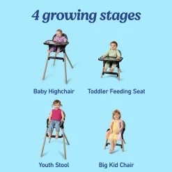 Ready2Dine DLX Highchair