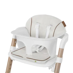 RightSeat Multistage High Chair & Cushion