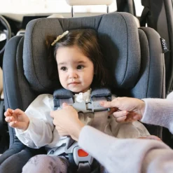 Rove Convertible Car Seat