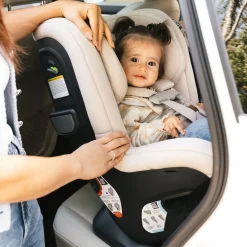 Rove Convertible Car Seat