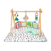Sassy x Babylist Sensory Stages Developmental Play Gym