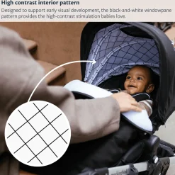 Single-to-Double Stroller 3.0