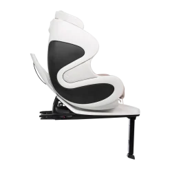 Smart Convertible Car Seat