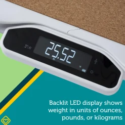 Smart Family Scale