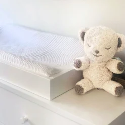 SnooBear