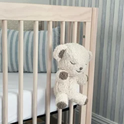 SnooBear