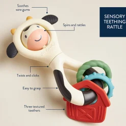 Spinner Rattle Cow